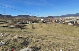 Teren 1830 mp Deva – extravilan cu demersuri intravilan – posibilitate parcelare