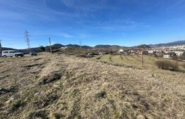 Teren 1830 mp Deva – extravilan cu demersuri intravilan – posibilitate parcelare
