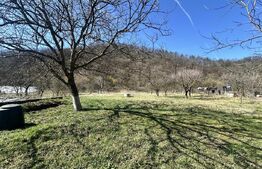 Casă cu piscină și teren generos de 3.298 mp în Lesnic, la 15 minute de Deva