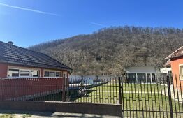 Casă cu piscină și teren generos de 3.298 mp în Lesnic, la 15 minute de Deva