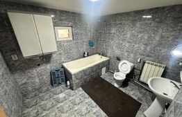 Casă cu piscină și teren generos de 3.298 mp în Lesnic, la 15 minute de Deva