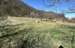 Casă cu piscină și teren generos de 3.298 mp în Lesnic, la 15 minute de Deva