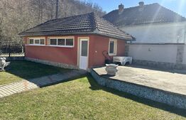 Casă cu piscină și teren generos de 3.298 mp în Lesnic, la 15 minute de Deva