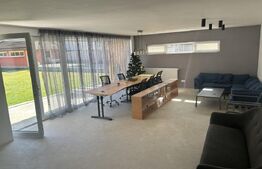 Casă cu piscină și teren generos de 3.298 mp în Lesnic, la 15 minute de Deva