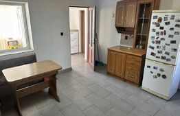 Casă cu piscină și teren generos de 3.298 mp în Lesnic, la 15 minute de Deva