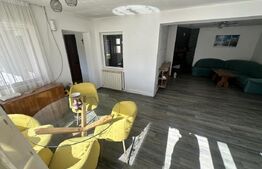 Casă cu piscină și teren generos de 3.298 mp în Lesnic, la 15 minute de Deva