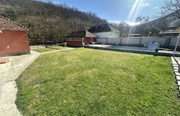 Casă cu piscină și teren generos de 3.298 mp în Lesnic, la 15 minute de Deva