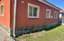 Casă cu piscină și teren generos de 3.298 mp în Lesnic, la 15 minute de Deva