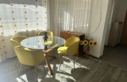 Casă cu piscină și teren generos de 3.298 mp în Lesnic, la 15 minute de Deva