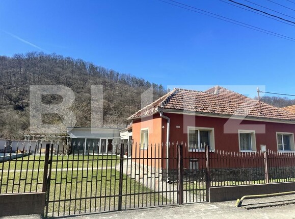 Casa de vânzare 3 camere Vest - 190341CV | BLITZ Deva | Poza18