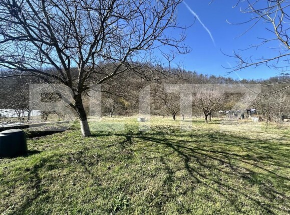 Casa de vânzare 3 camere Vest - 190341CV | BLITZ Deva | Poza22