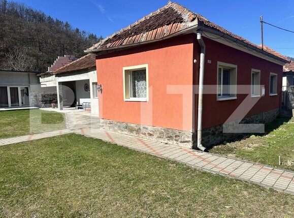 Casa de vânzare 3 camere Vest - 190341CV | BLITZ Deva | Poza15