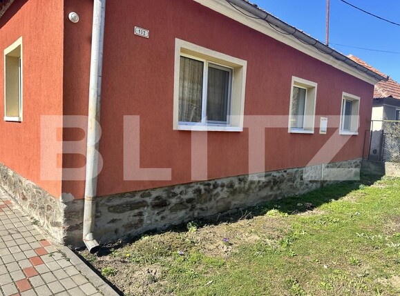 Casa de vânzare 3 camere Vest - 190341CV | BLITZ Deva | Poza16