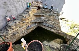 Casă spațioasă într-o zonă liniștită – curte amenajată cu filigorie, piscină.