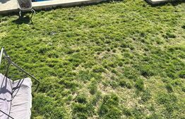 Casă spațioasă într-o zonă liniștită – curte amenajată cu filigorie, piscină.