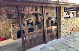 Casă spațioasă într-o zonă liniștită – curte amenajată cu filigorie, piscină.