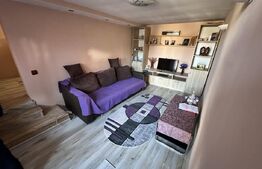 Casă spațioasă într-o zonă liniștită – curte amenajată cu filigorie, piscină.