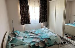 Casă spațioasă într-o zonă liniștită – curte amenajată cu filigorie, piscină.