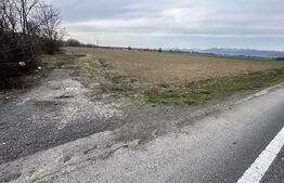 📍 Teren intravilan 32.000 mp – poziție strategică lângă nodul rutier A1 Simeria