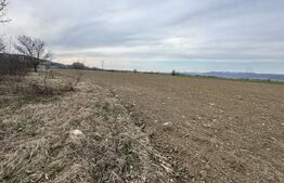 📍 Teren intravilan 32.000 mp – poziție strategică lângă nodul rutier A1 Simeria