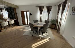 Casa cu etaj 175 MP utili cu teren generos intravilan de 4101 MP