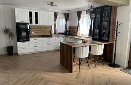 Casa cu etaj 175 MP utili cu teren generos intravilan de 4101 MP