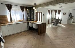 Casa cu etaj 175 MP utili cu teren generos intravilan de 4101 MP