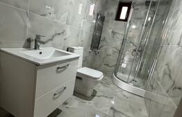 Casă premium P+M, 300 mp utili, teren 3200 mp, complet renovată 2025.