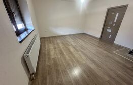 Casă premium P+M, 300 mp utili, teren 3200 mp, complet renovată 2025.