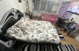 Apartament 3 camere decomandat,renovat ,zonă excelentă – Orăștie