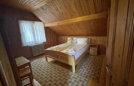 Pensiune deosebită în inima Munților Dacici – investiție premium în Costești