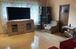 Pensiune deosebită în inima Munților Dacici – investiție premium în Costești