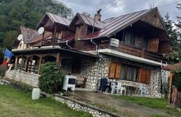 Pensiune deosebită în inima Munților Dacici – investiție premium în Costești