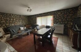 Pensiune deosebită în inima Munților Dacici – investiție premium în Costești