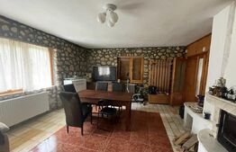 Pensiune deosebită în inima Munților Dacici – investiție premium în Costești