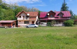 Pensiune deosebită în inima Munților Dacici – investiție premium în Costești