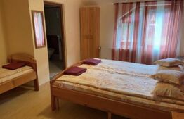 Pensiune deosebită în inima Munților Dacici – investiție premium în Costești