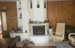 Pensiune deosebită în inima Munților Dacici – investiție premium în Costești