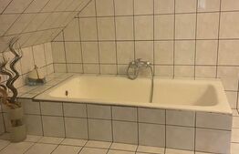 Pensiune deosebită în inima Munților Dacici – investiție premium în Costești