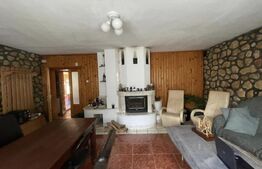 Pensiune deosebită în inima Munților Dacici – investiție premium în Costești