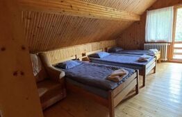 Pensiune deosebită în inima Munților Dacici – investiție premium în Costești