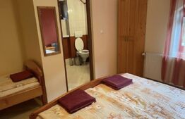 Pensiune deosebită în inima Munților Dacici – investiție premium în Costești