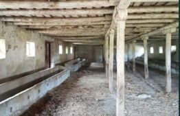 Hală zootehnică 651 mp pe teren 1.193 mp, Banpotoc – acces asfalt