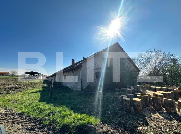 Spațiu industrial de vânzare Banpotoc - 192096SVI | BLITZ Deva | Poza1