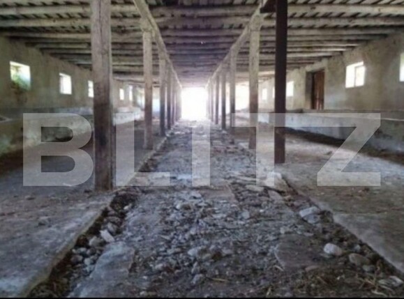 Spațiu industrial de vânzare Banpotoc - 192096SVI | BLITZ Deva | Poza2