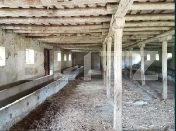 Spațiu industrial de vânzare Banpotoc - 192096SVI | BLITZ Deva | Poza3