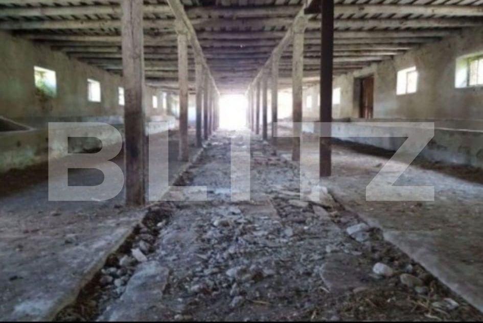 Spațiu industrial de vânzare Banpotoc - 192096SVI | BLITZ Deva | Poza2