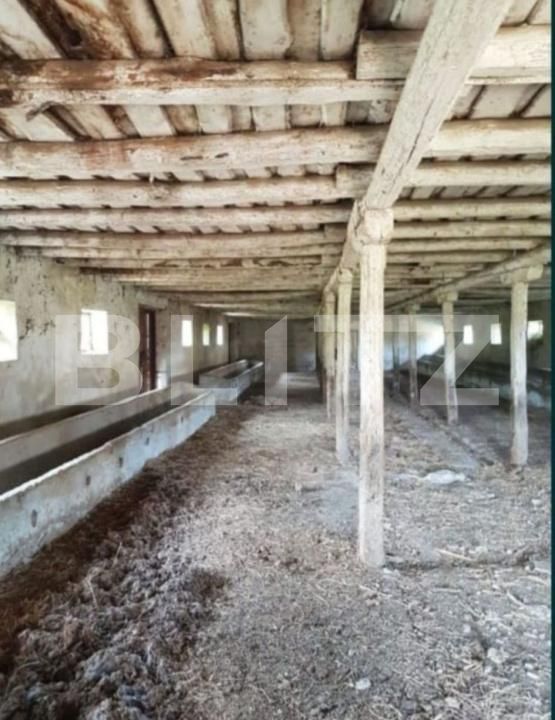 Spațiu industrial de vânzare Banpotoc - 192096SVI | BLITZ Deva | Poza3