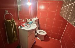 Apartament de locuit + atelier auto + terasa și curte generoasă 