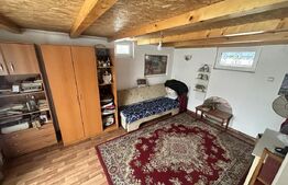 Apartament de locuit + atelier auto + terasa și curte generoasă 